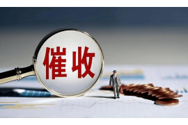 振安要账公司更多成功案例详情